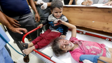 الأمم المتحدة: مقتل نحو 14 ألف طفل في غزة منذ بدء الحرب