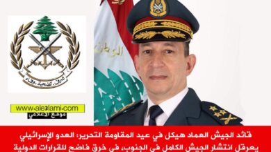 قائد الجيش العماد هيكل في عيد المقاومة التحرير