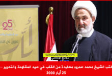 كتب الشيخ محمد عمرو، معايدة من القلب في عيد المقاومة والتحرير 25 أيار 2000
