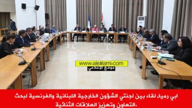 ابي رميا، لقاء بين لجنتي الشؤون الخارجية اللبنانية والفرنسية لبحث التعاون وتعزيز العلاقات الثنائية.