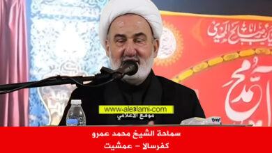الشيخ محمد عمرو كفرسالا عمشيت