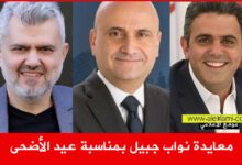 سيمون ابي رميا، رائد برو، زياد الحواط