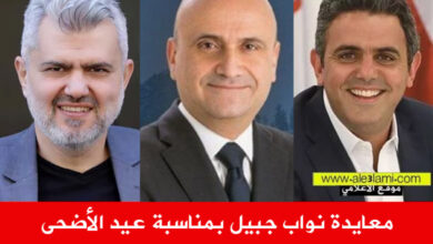 سيمون ابي رميا، رائد برو، زياد الحواط