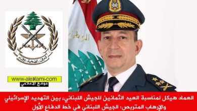 العماد هيكل في عيد الجيش 80