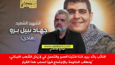 النائب رائد برو، الشهيد جهاد برو