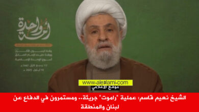 الشيخ نعيم قاسم، المولد النبوي، المقاومة، فلسطين، قطر