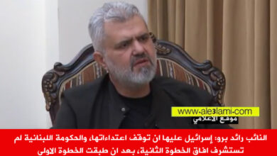 النائب رائد برو، قناة العالم، الحكومة، الحيش، المقاومة
