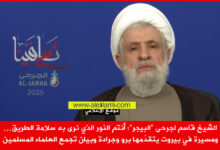 جرحى البيجر، الشيخ قاسم، مسيرة، النائب برو، النائب الياس جرادة، تجمع العلماء