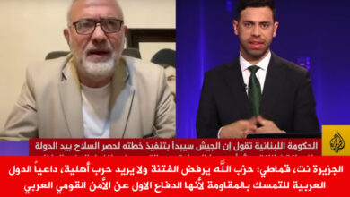 محمود قماطي، الجزيرة، المقاومة، السلاح، الحكومة، القومي العربي،