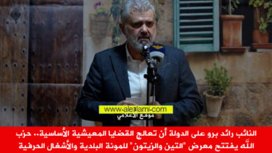 النائب برو، التين والزيتون، المونة والاشغال الحرفية.