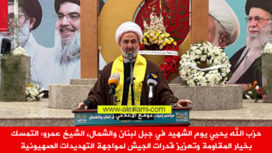 الشيخ محمد عمرو علمات الصوانة، يوم الشهيد