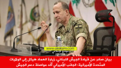 العماد هيكل، زيارة امريكا، بيان الجيش